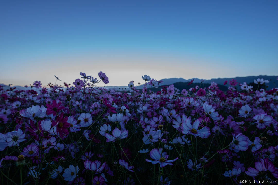 f:id:pyth2727:20191012114237j:plain f:id:pyth2727:20191012114237j:plain