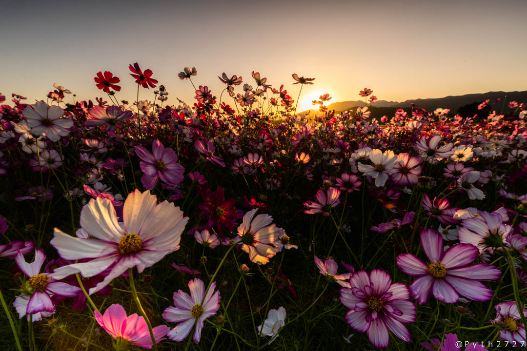 f:id:pyth2727:20191012115707j:plain f:id:pyth2727:20191012115707j:plain