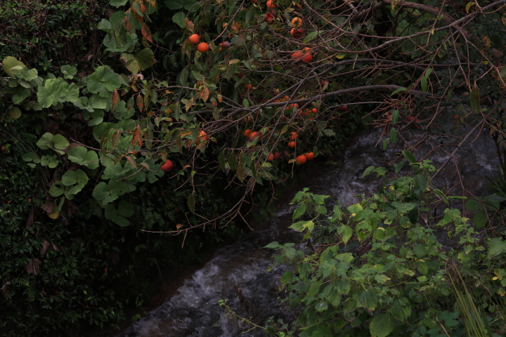f:id:pyth2727:20191013202247j:plain f:id:pyth2727:20191013202247j:plain