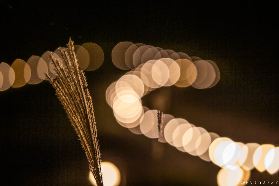 f:id:pyth2727:20191019145255j:plain f:id:pyth2727:20191019145255j:plain