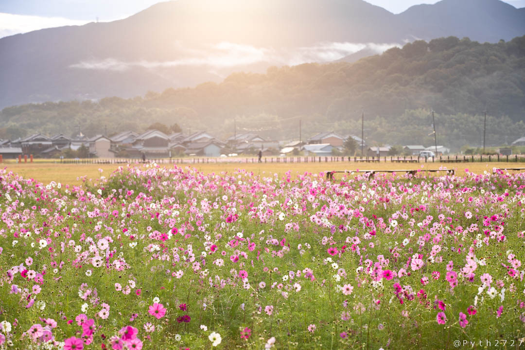 f:id:pyth2727:20191019155653j:plain f:id:pyth2727:20191019155653j:plain