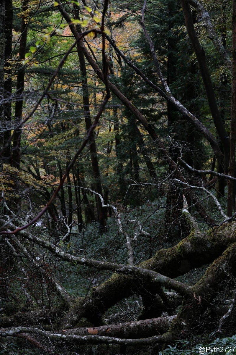 f:id:pyth2727:20191022144654j:plain f:id:pyth2727:20191022144654j:plain