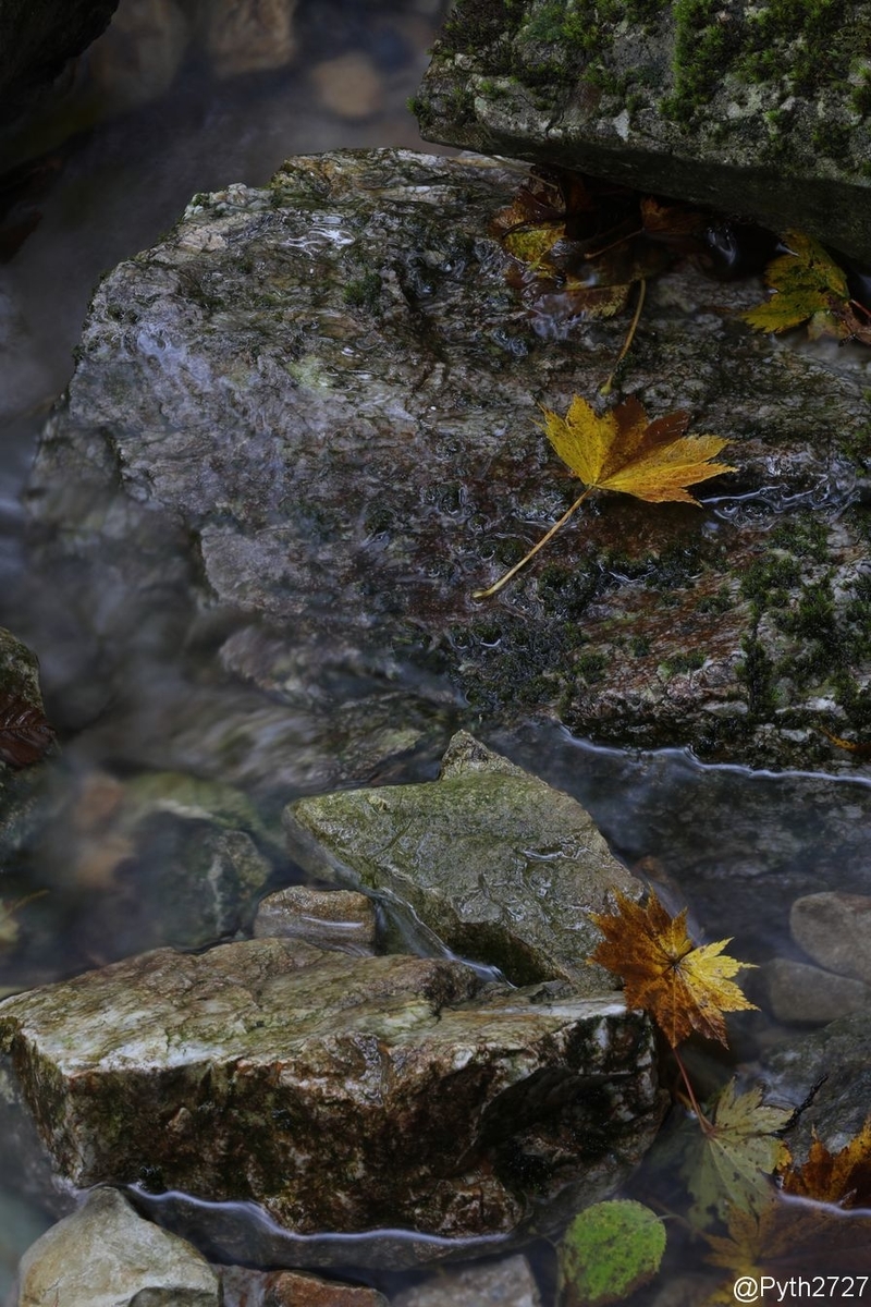 f:id:pyth2727:20191022144726j:plain f:id:pyth2727:20191022144726j:plain