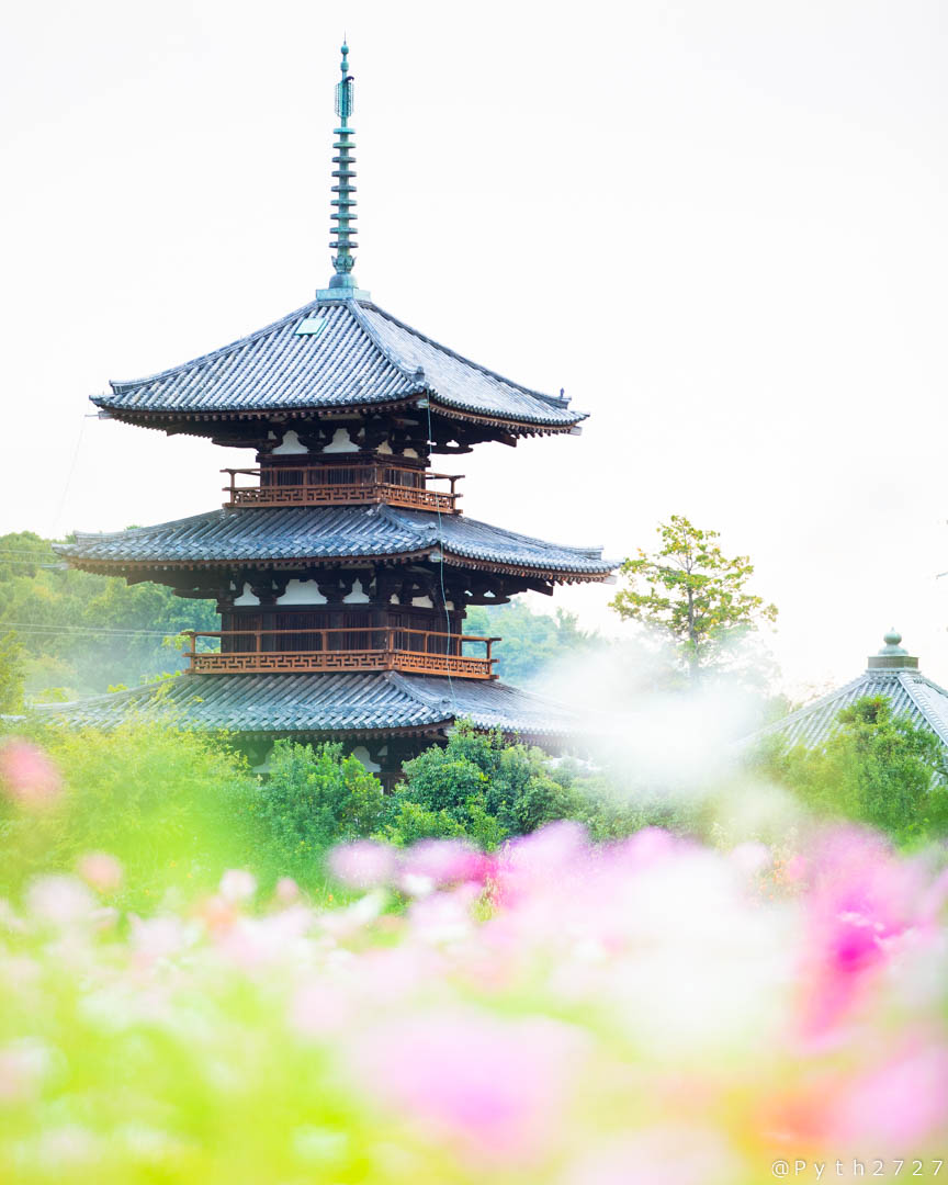 f:id:pyth2727:20191028203049j:plain f:id:pyth2727:20191028203049j:plain