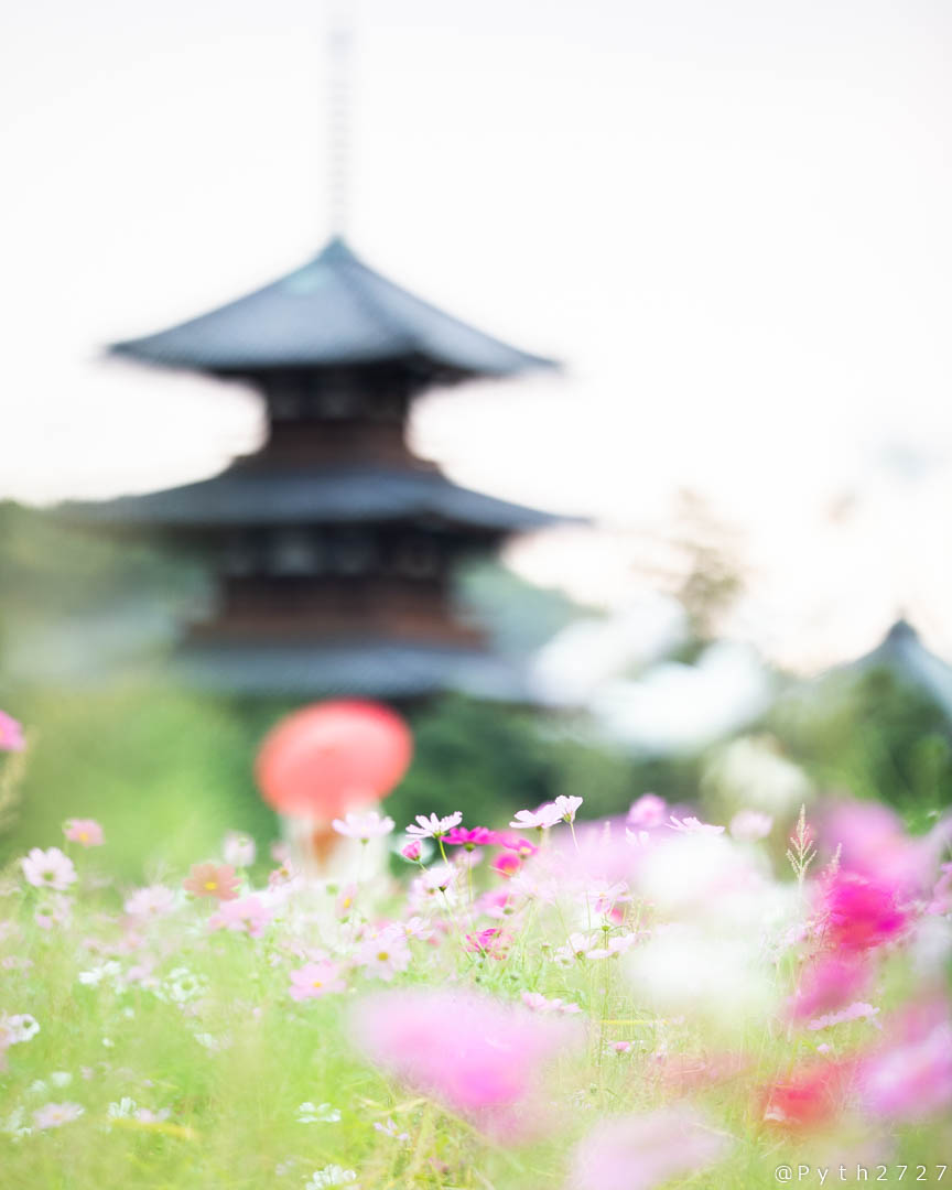 f:id:pyth2727:20191028203051j:plain f:id:pyth2727:20191028203051j:plain