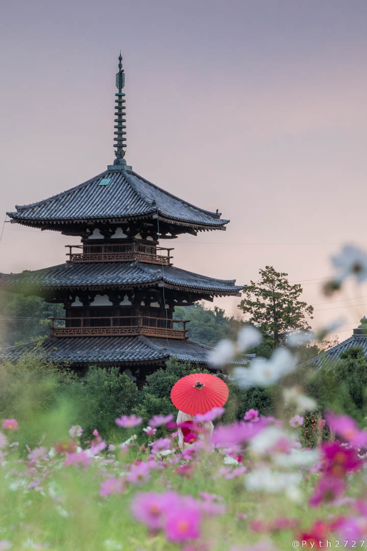f:id:pyth2727:20191028203055j:plain f:id:pyth2727:20191028203055j:plain
