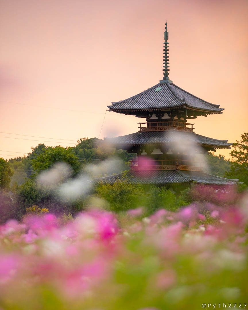 f:id:pyth2727:20191028203058j:plain f:id:pyth2727:20191028203058j:plain