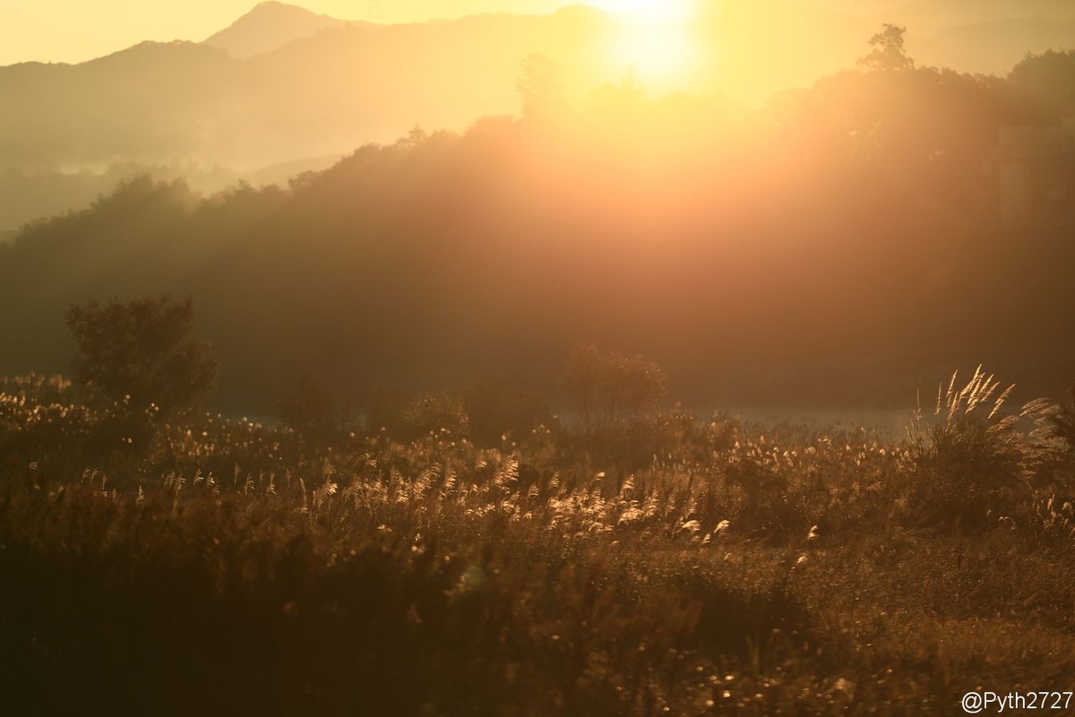 f:id:pyth2727:20191109212147j:plain f:id:pyth2727:20191109212147j:plain