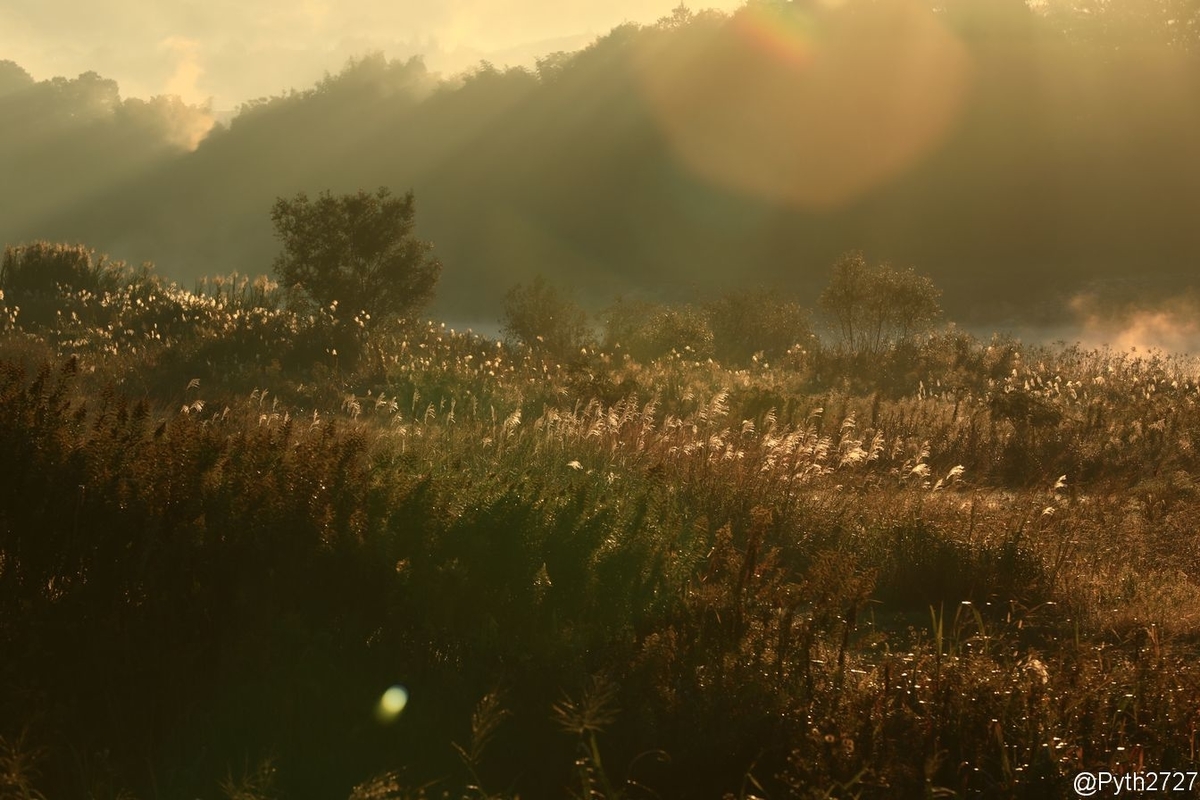 f:id:pyth2727:20191109212211j:plain f:id:pyth2727:20191109212211j:plain