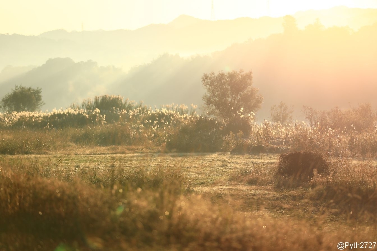 f:id:pyth2727:20191109212229j:plain f:id:pyth2727:20191109212229j:plain