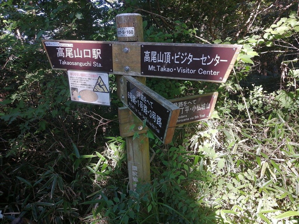 08:03 高尾山山頂の巻き道の交差点前