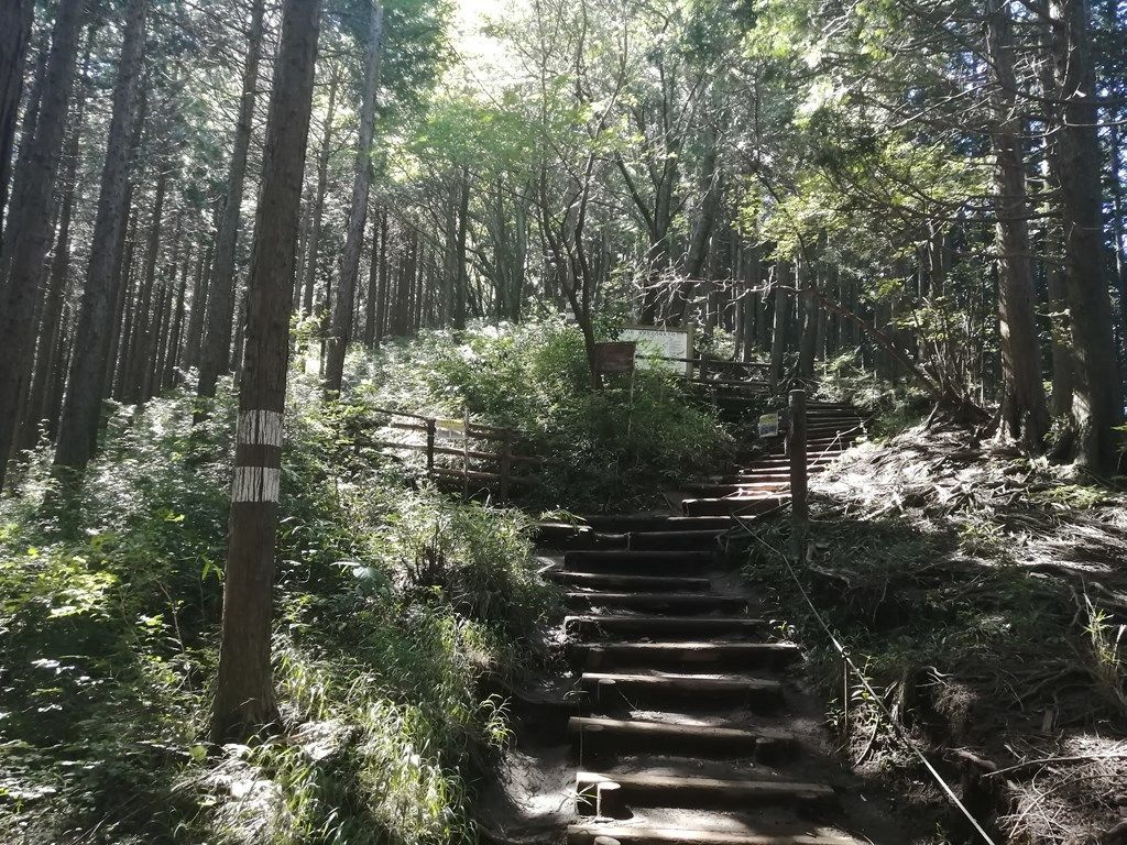 09:15 城山山頂からの急な階段の下り