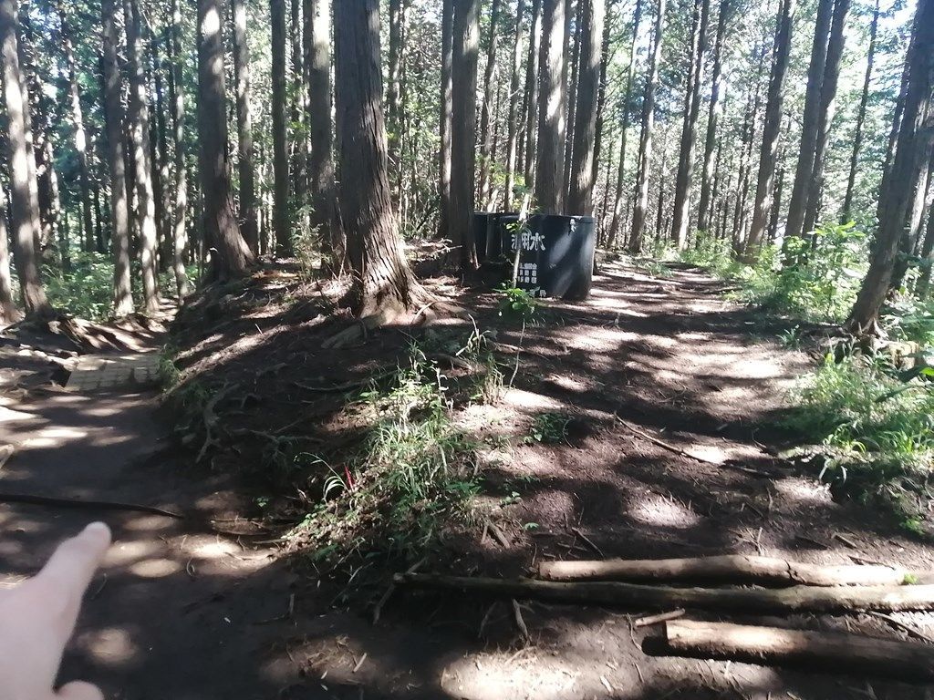 09:22 三差路っぽい所(左の道が正解)