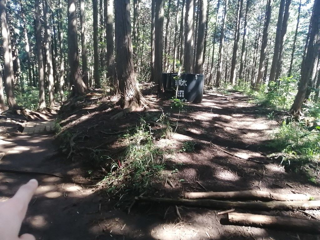 09:22 三差路っぽい所（左の道が正解）