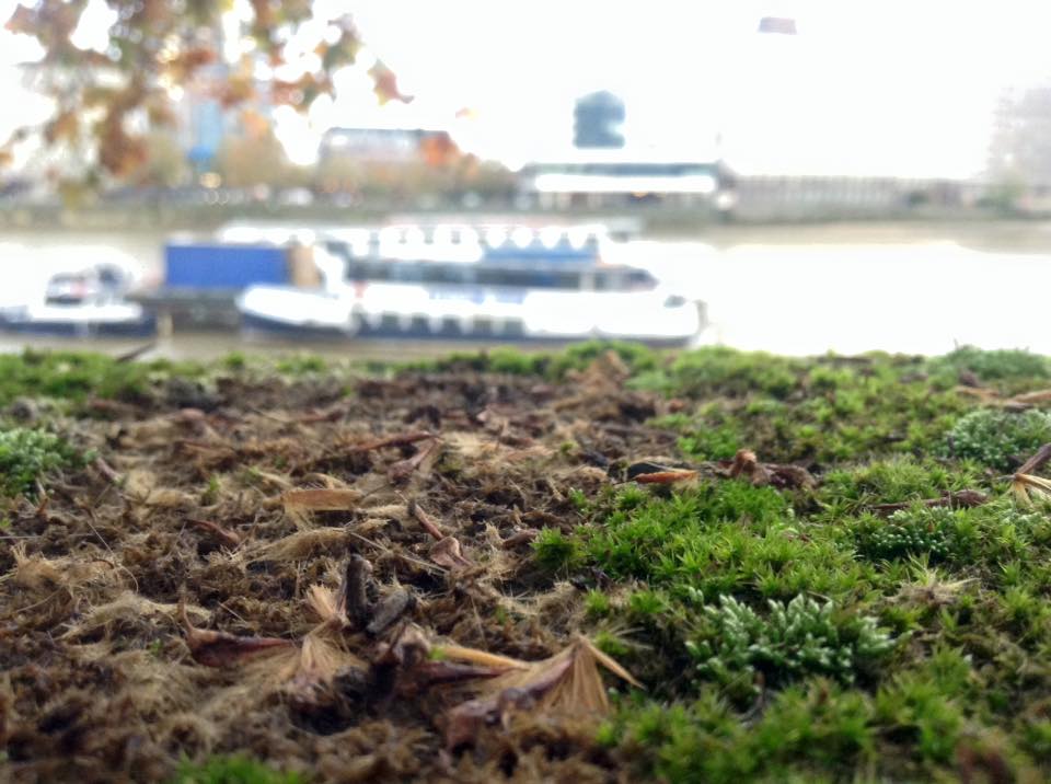 f:id:pyu322runo:20161018191831j:plain f:id:pyu322runo:20161018191831j:plain