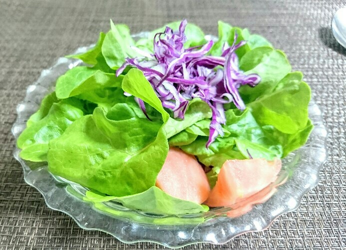 f:id:pzero:20190518212258j:image f:id:pzero:20190518212258j:image
