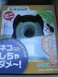 f:id:pzn24047:20071112093440j:image