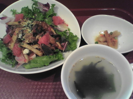 f:id:pzn24047:20081114123529j:image