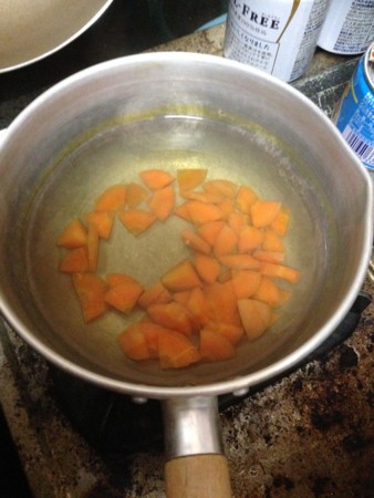 f:id:pzn24047:20160229205754j:image