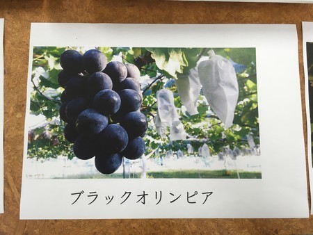 f:id:pzn24047:20181005202201j:image