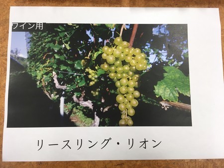 f:id:pzn24047:20181005202217j:image