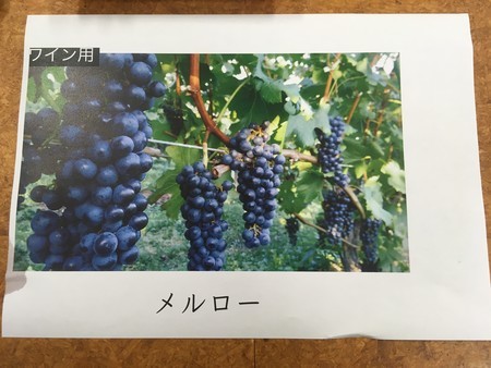 f:id:pzn24047:20181005202235j:image