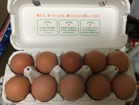 f:id:pzn24047:20181209024049j:image