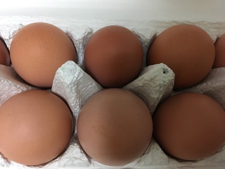 f:id:pzn24047:20181209024105j:image