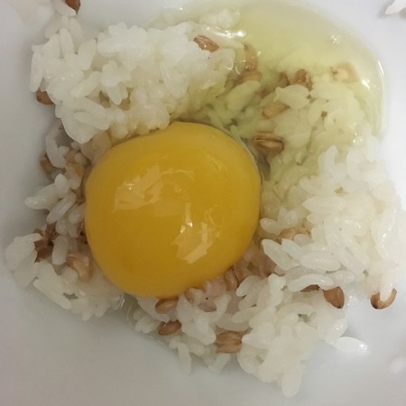 f:id:pzn24047:20181209024445j:image