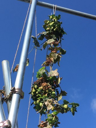 f:id:pzn24047:20191006140815j:image f:id:pzn24047:20191006140815j:image