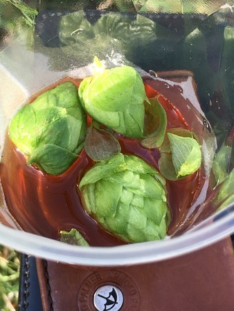 f:id:pzn24047:20191006141256j:image f:id:pzn24047:20191006141256j:image