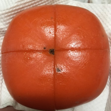 f:id:pzn24047:20191216011901j:image f:id:pzn24047:20191216011901j:image