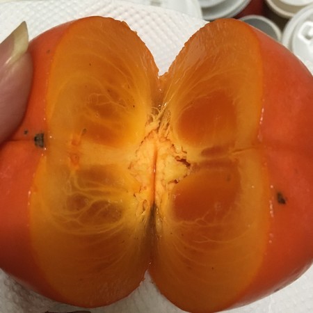 f:id:pzn24047:20191216011941j:image f:id:pzn24047:20191216011941j:image