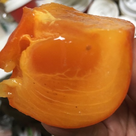 f:id:pzn24047:20191216012303j:image f:id:pzn24047:20191216012303j:image