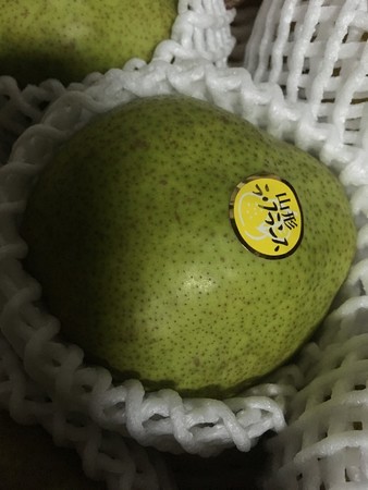 f:id:pzn24047:20191217033043j:image