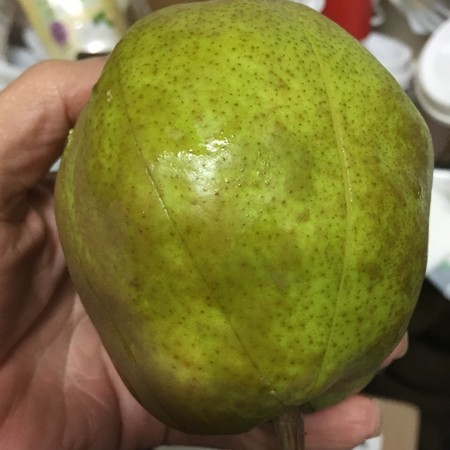 f:id:pzn24047:20191217034305j:image
