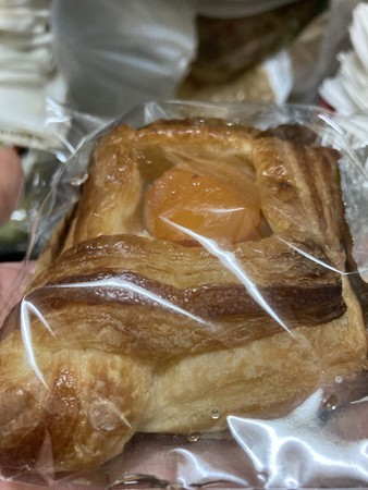 f:id:pzn24047:20210221064017j:image