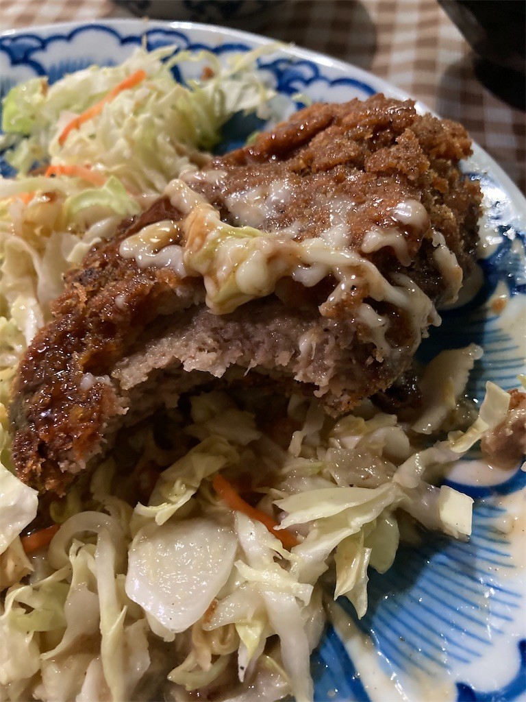 f:id:pzn24047:20210512111705j:plain