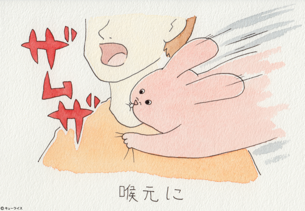 f:id:q-rais:20180330111153j:plain f:id:q-rais:20180330111153j:plain