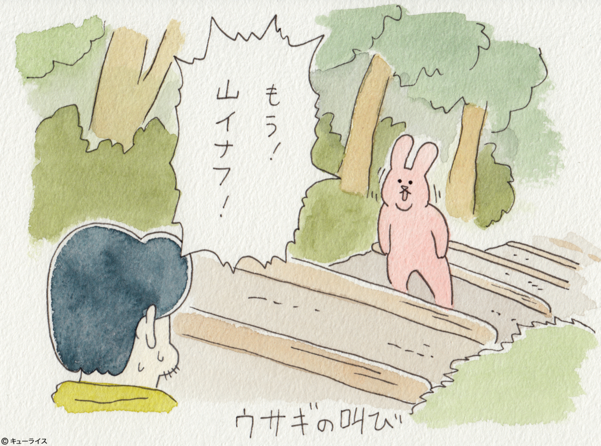 f:id:q-rais:20180330111241j:plain f:id:q-rais:20180330111241j:plain