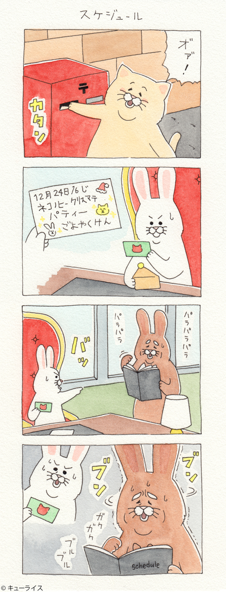 ネコノヒー スケジュール キューライス記