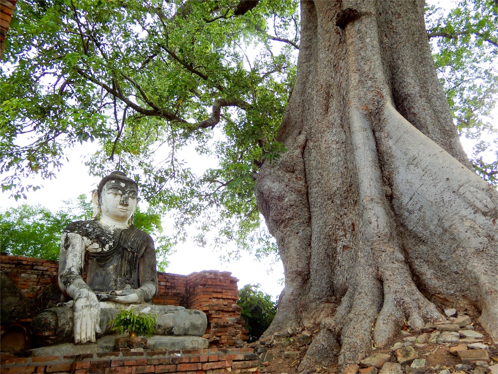 f:id:q4xl:20170824151907j:image f:id:q4xl:20170824151907j:image