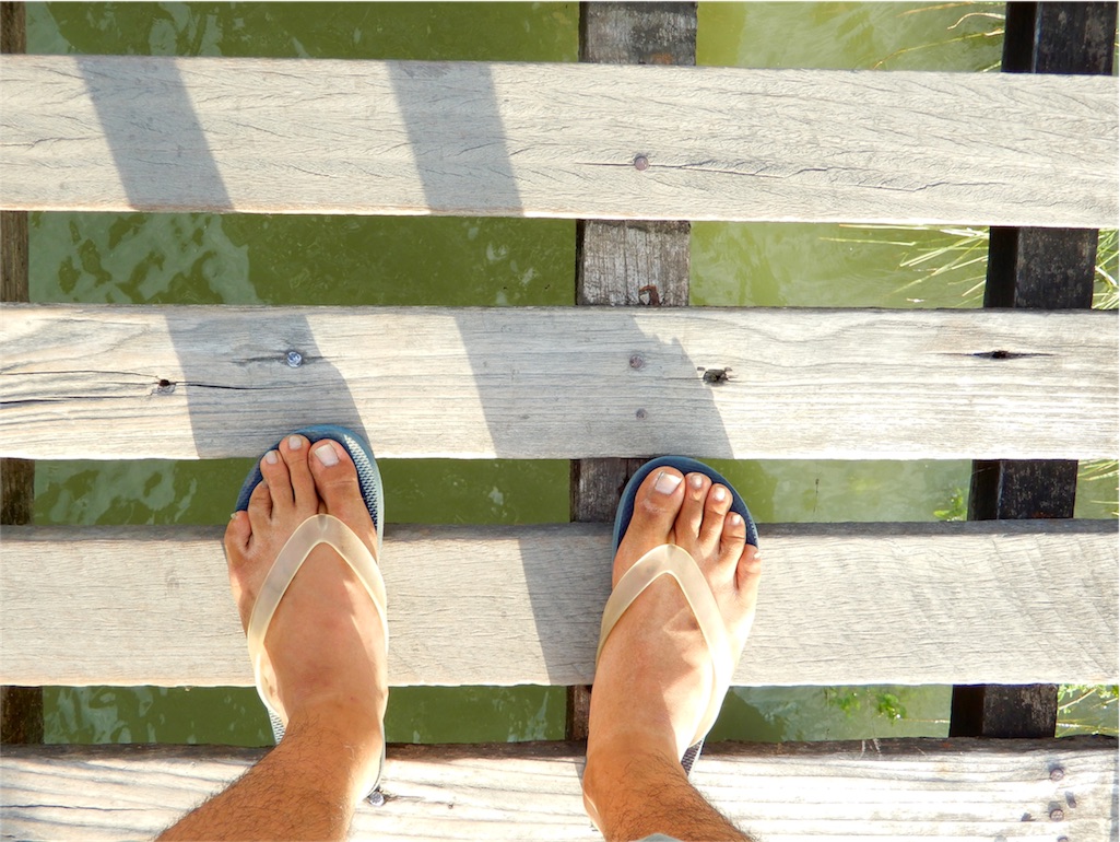 f:id:q4xl:20170824151928j:image f:id:q4xl:20170824151928j:image