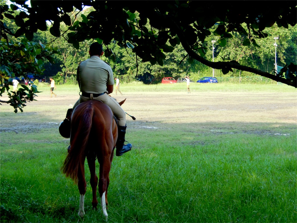 f:id:q4xl:20170827230016j:image f:id:q4xl:20170827230016j:image