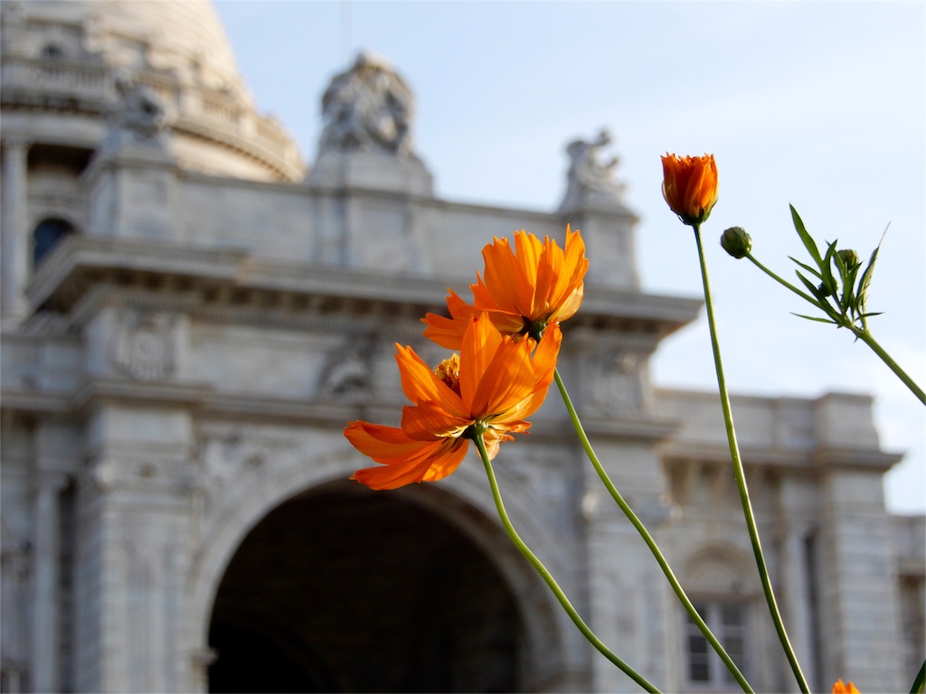 f:id:q4xl:20170827230044j:image f:id:q4xl:20170827230044j:image