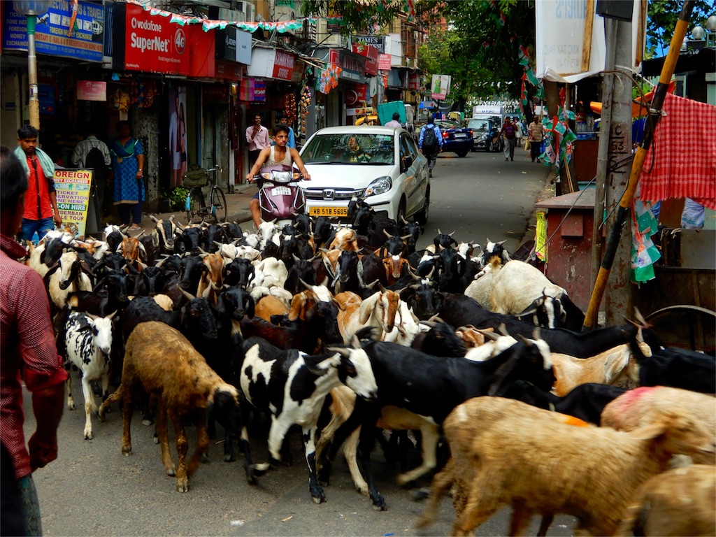 f:id:q4xl:20170827230344j:image