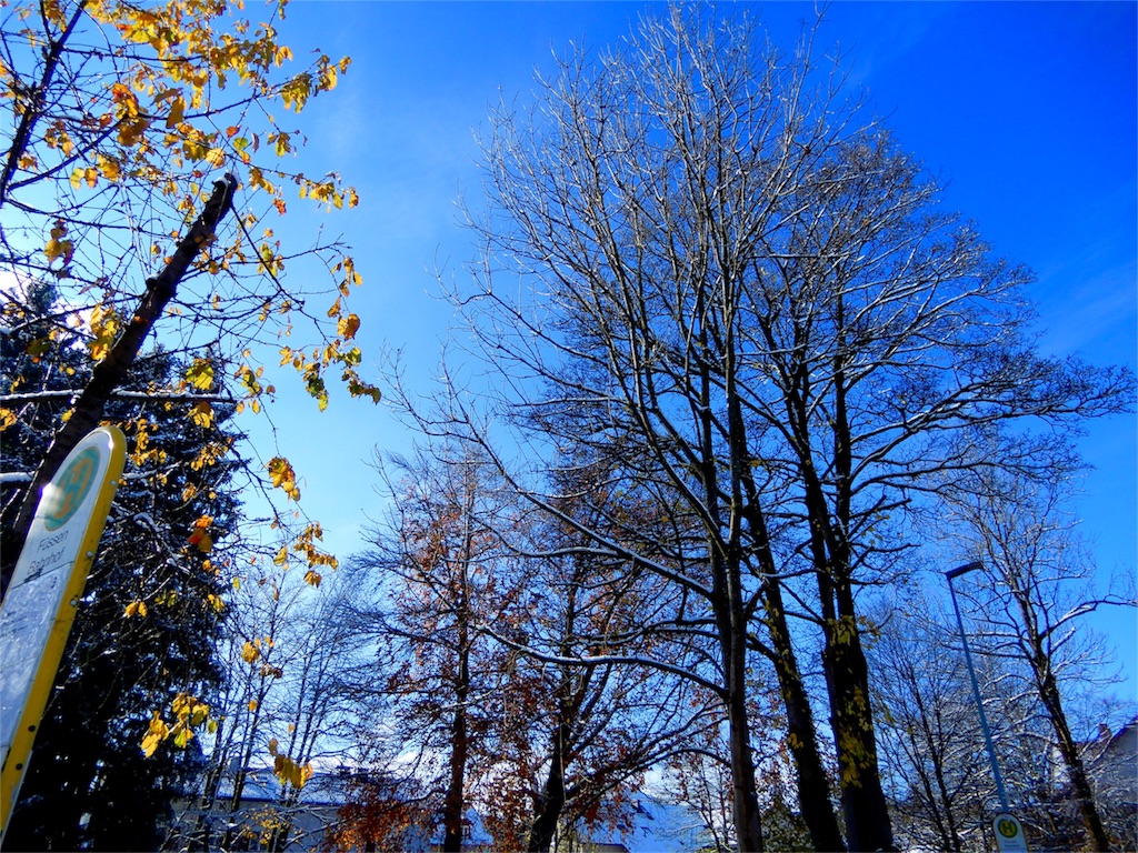 f:id:q4xl:20171115231223j:image