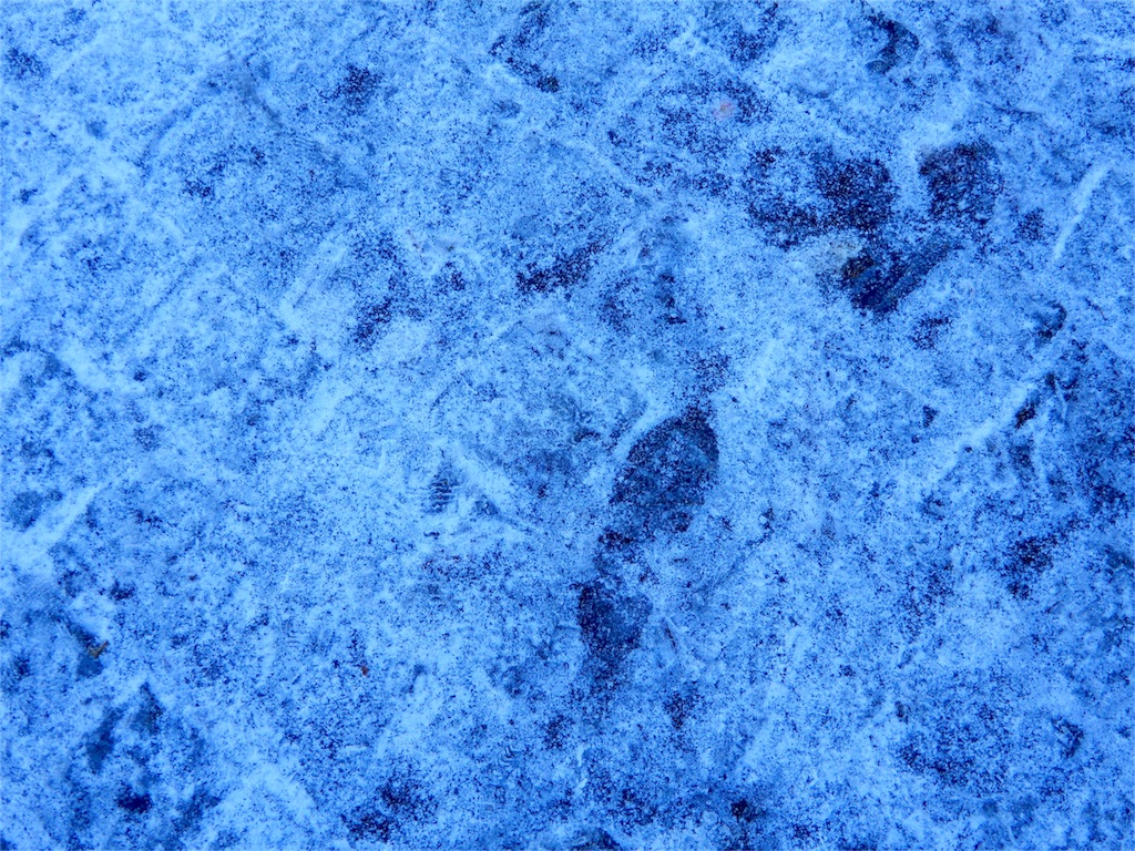 f:id:q4xl:20171115231232j:image