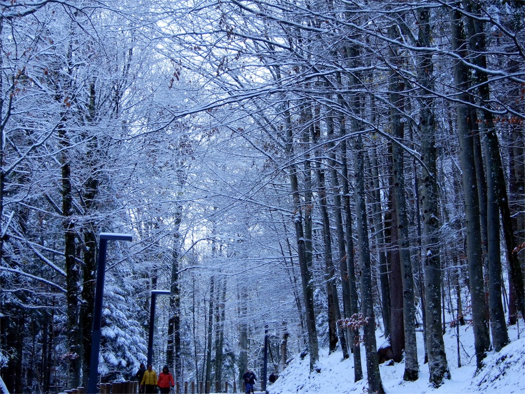 f:id:q4xl:20171115231343j:image