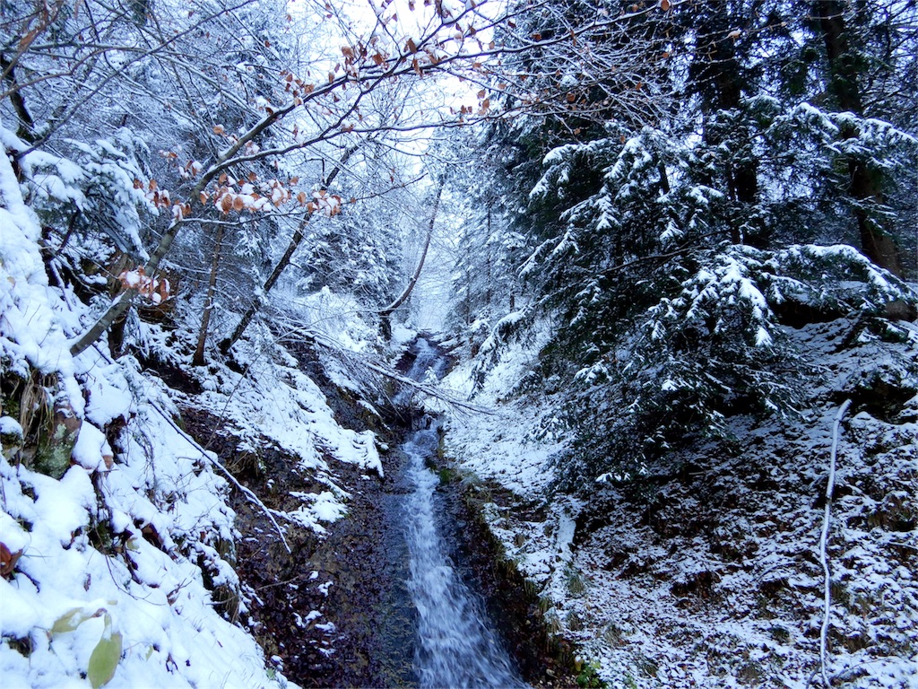 f:id:q4xl:20171115231353j:image